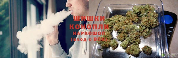 СК Аркадак