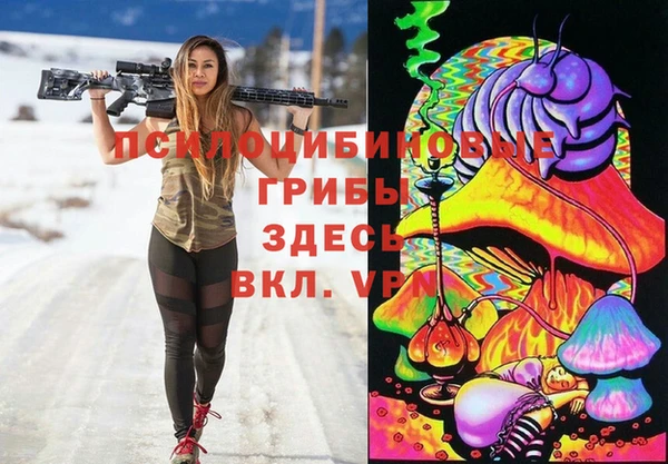 СК Аркадак