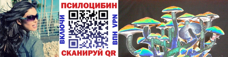 Псилоцибиновые грибы Psilocybe  блэк спрут ссылка  Лодейное Поле 