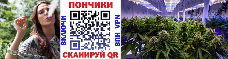 купить  сайты  Лодейное Поле  Шишки марихуана марихуана 